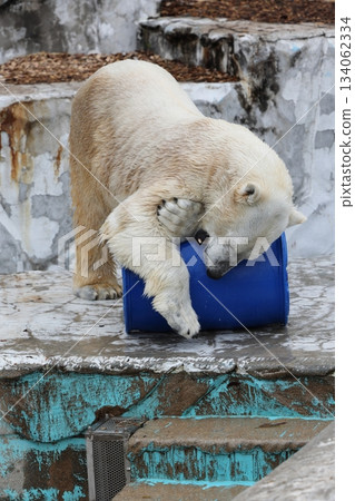 Higashiyama Zoo and Botanical G 134062334