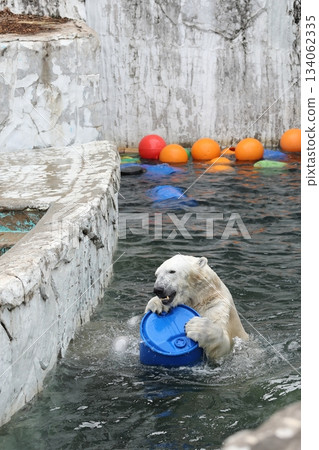 Higashiyama Zoo and Botanical G 134062335