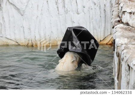 Higashiyama Zoo and Botanical G 134062338