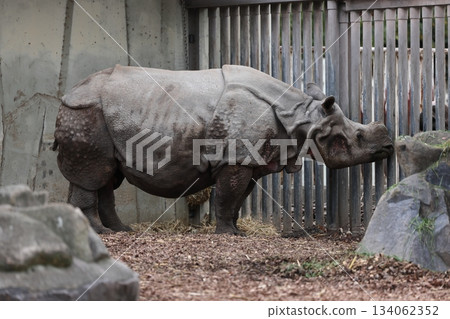 Higashiyama Zoo and Botanical G 134062352