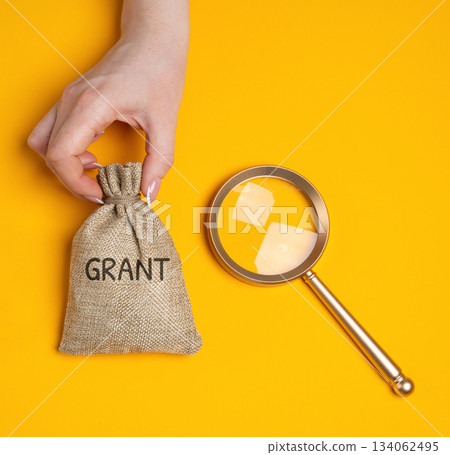 Grants search concept. Non-repayable funds provided by governments, organizations, or institutions to individuals, businesses for specific purposes, such as education and research. 134062495