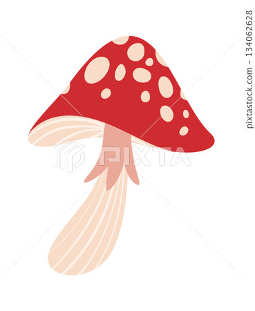 Spotted fly agaric mushroom design 134062628