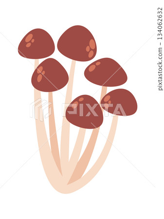 Honey fungus family cute mushrooms 134062632