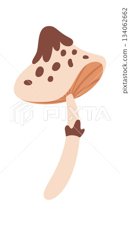Cute mushroom with spotted cap 134062662