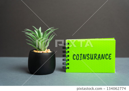 Coinsurance word concept. Coinsurance word concept. 134062774