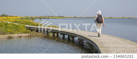 Walking on the boardwalk at Marker Wadden in the Netherlands during a sunny day with flowers and water nearby 134063281