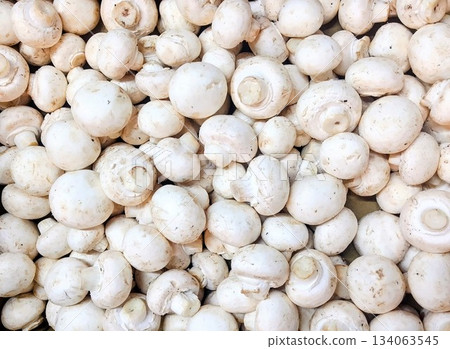 採摘的蘑菇 134063545