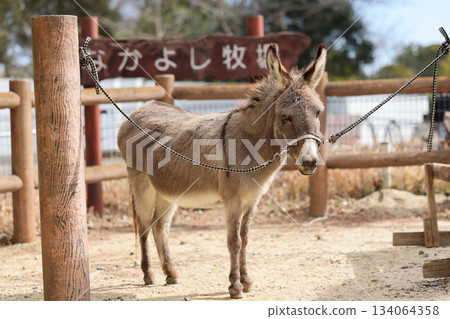 諾波羅公園 134064358
