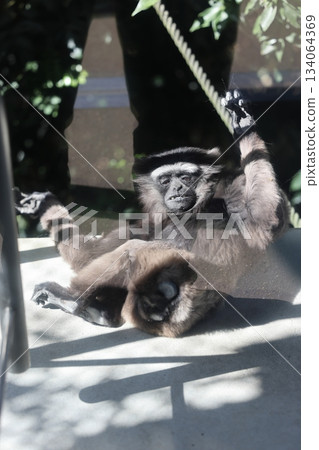 Nopporo Park 134064369