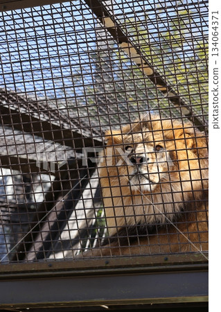 Nopporo Park Nopporo Park 134064371