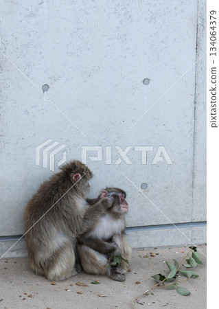 Nopporo Park 134064379