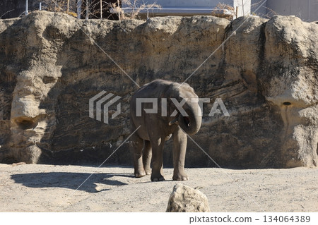 諾波羅公園 134064389