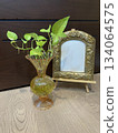 Pothos Plant in Amber Glass Vase with Gold Frame 134064575