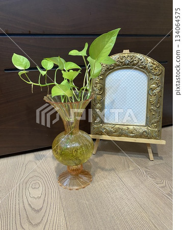 Pothos Plant in Amber Glass Vase with Gold Frame Pothos Plant in Amber Glass Vase with Gold Frame 134064575