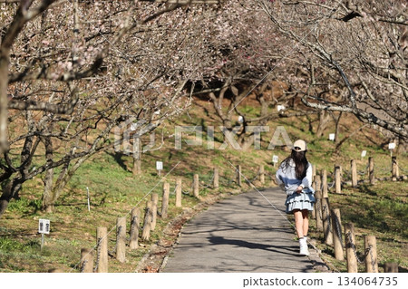 赤塚山公園喬行樂園 134064735