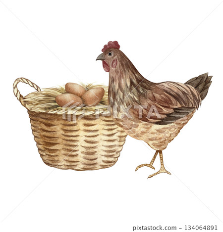 A nest in a wicker basket with chicken eggs and a mother hen nearby. Hand-drawn watercolor illustration. Poultry farming concept. Design element for banners, labels, packaging, and more. A nest in a wicker basket with chicken eggs and a mother hen nearby. Hand-drawn watercolor illustration. Poultry farming concept. Design element for banners, labels, packaging, and more. 134064891