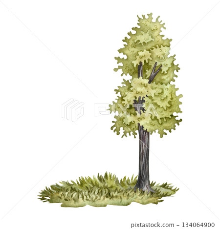 A green tree in a meadow with grass. The illustration is hand-drawn in watercolor. A colorful image of a summer tree. Isolate. Perfect for making postcards, banners, flyers, posters, labels, and more. A green tree in a meadow with grass. The illustration is hand-drawn in watercolor. A colorful image of a summer tree. Isolate. Perfect for making postcards, banners, flyers, posters, labels, and more. 134064900