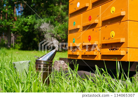 Beekeeping Scene Smoker in Tall Grass by Beehives with Bees Flying Around in Summer Day Beekeeping Scene Smoker in Tall Grass by Beehives with Bees Flying Around in Summer Day 134065307