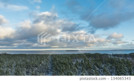 Winter Wonderland Panoramic View of Snowy Forest, Lake, and Cloudy Sky Landscape Winter Wonderland Panoramic View of Snowy Forest, Lake, and Cloudy Sky Landscape 134065343