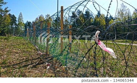 Razor Wire Fence Bordering Woodland Area on a Sunny Day Security and Boundary 134065344