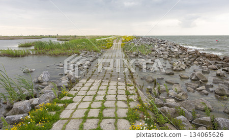 Pathway on Marker Wadden in the Netherlands connects land and water during cloudy weather near the horizon Pathway on Marker Wadden in the Netherlands connects land and water during cloudy weather near the horizon 134065626