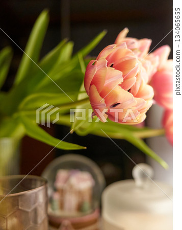 floral scene ambiance, cozy spring atmosphere captured through delicate flower details and warm lighting 134065655