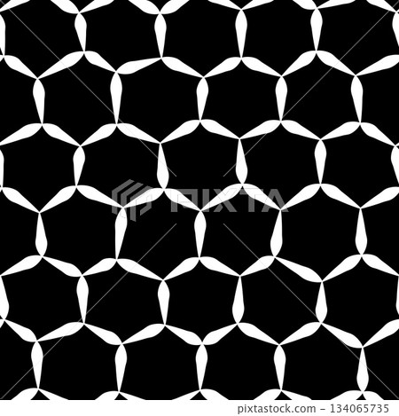Hexagon Ornament 134065735
