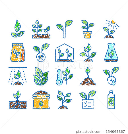 Seedling sprouting growth stages and gardening icon set Seedling sprouting growth stages and gardening icon set 134065867