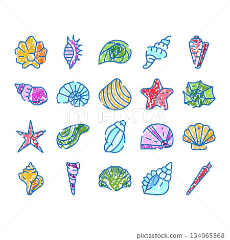 Colorful children drawing seashells and starfish collection 134065868