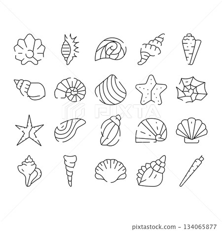 Seashells and starfishes marine life line art icons Seashells and starfishes marine life line art icons 134065877