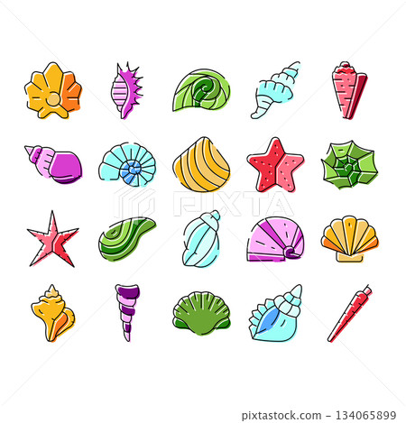 Ocean seashells and starfishes marine life collection Ocean seashells and starfishes marine life collection 134065899