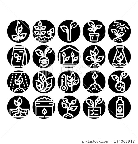 Plant growth and gardening process glyph icons collection Plant growth and gardening process glyph icons collection 134065918