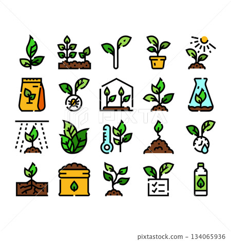 Plant growth seedling agriculture gardening icon set Plant growth seedling agriculture gardening icon set 134065936