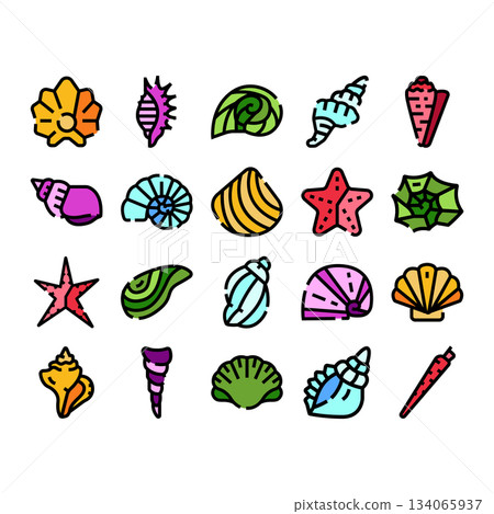 Colorful seashells and starfish marine life collection 134065937
