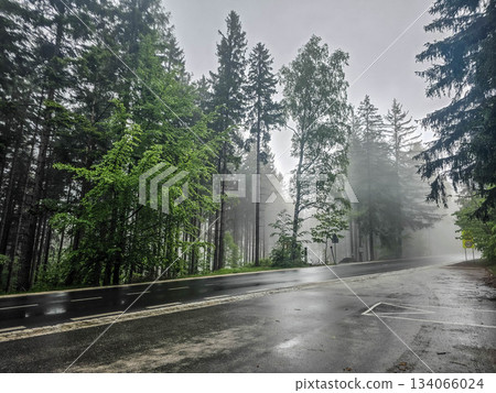 Whispers of the Misty Woods Whispers of the Misty Woods 134066024