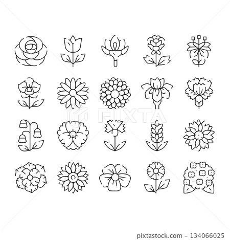 Minimalist outline flowers set representing nature and gardening Minimalist outline flowers set representing nature and gardening 134066025