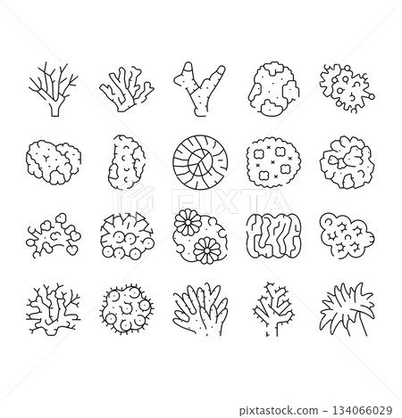 Hand drawn coral reef marine life icons 134066029