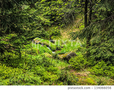 Mountain Trails Path to Dream Summits Mountain Trails Path to Dream Summits 134066056