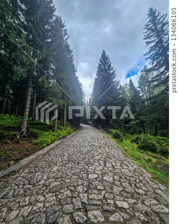 Mountain Grandeur Endless Wild Horizons Mountain Grandeur Endless Wild Horizons 134066105