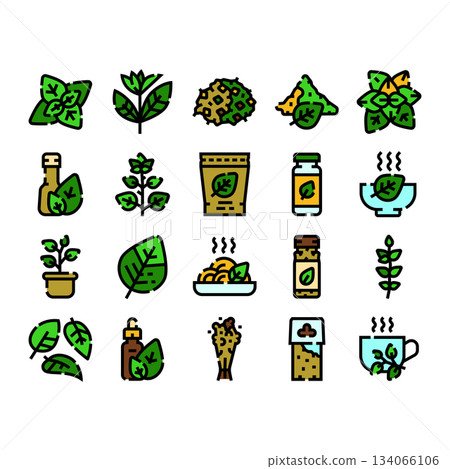 Basil herb product and food icons set 134066106