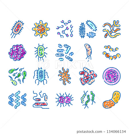 Microorganisms and bacteria types illustrating scientific microbiology concepts 134066134