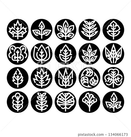 Collection of various nature leaf icons in monochrome style 134066173