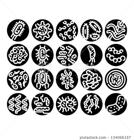 Microorganisms and bacteria types illustrating illness and infection Microorganisms and bacteria types illustrating illness and infection 134066187