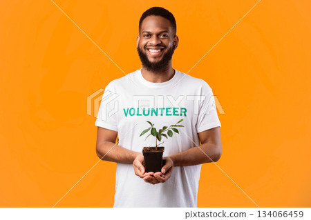 Cheerful Black Male Volunteer Holding Green Plant In A Pot Posing Smiling To Camera Standing Over Yellow Studio Background. Protection Of Environment And Nature. Ecology Concept 134066459