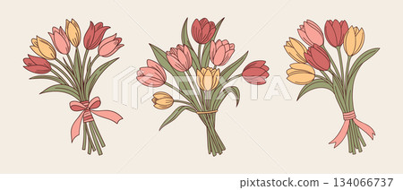Collection of hand drawn colorful tulip bouquets. Floral gifts set. 134066737