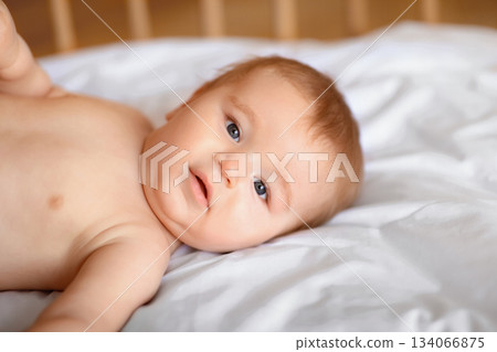 Closeup portrait of cute little baby boy or girl laying in wooden crib, free space. Beautiful toddler looking at camera, lying in baby bed. Babies, little kids, toddlers, infants concept 134066875