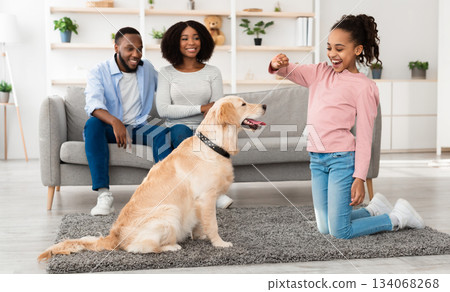 Pet Care And Love Concept. Smiling African American girl playing with dog, feeding labrador with biscuits treats, training at home in living room, mom and dad sitting on sofa, modern house interior 134068268