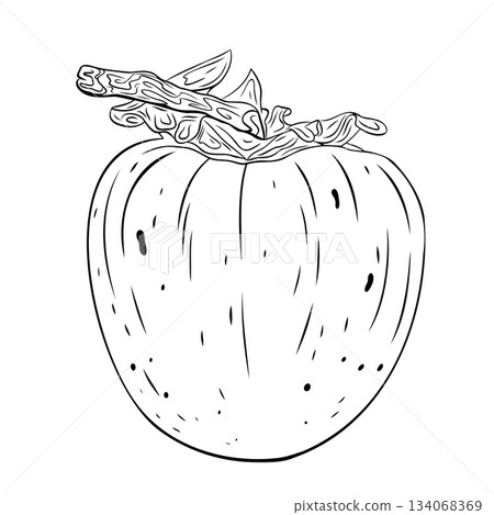 Monochrome botanical persimmon with leaves.Graphic Monochrome botanical persimmon with leaves.Graphic 134068369