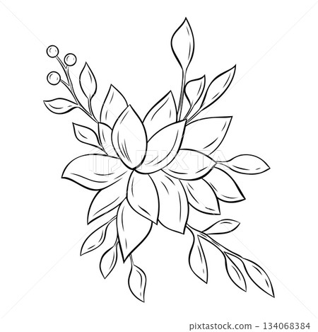 Monochrome botanical Christmas poinsettia with leaves. Graphic line art hand drawn ink black and white vector illustration Monochrome botanical Christmas poinsettia with leaves. Graphic line art hand drawn ink black and white vector illustration 134068384