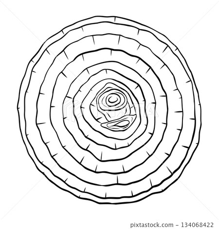 Onion slice, onion rings monochrome botanical fragrant vegetable drawing illustration. Isolated. Graphic hand drawn ink black and white vector. Good for cooking, medicinal, menu, garden, package 134068422